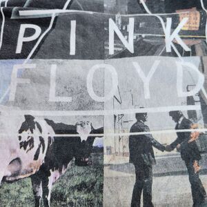 Liquid Blue Pink Floyd Mashup Raglan M Graphic Art Rock Dark Academia Gorpcore